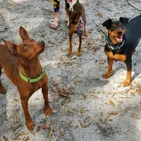 processed/535b4b97-c15e-4c31-a97c-311ce29ef2a9/facility/32f02097-d876-450b-b608-58d68627e83b