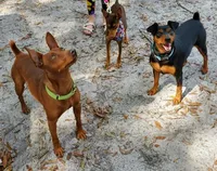 processed/535b4b97-c15e-4c31-a97c-311ce29ef2a9/facility/32f02097-d876-450b-b608-58d68627e83b