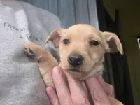 processed/535b4b97-c15e-4c31-a97c-311ce29ef2a9/listing/0bb2607f-bc6b-4ada-ad60-d6a5fd52dc38/b1931218-1c61-4a4f-9ea4-e507dec6f78d