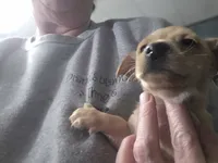 processed/535b4b97-c15e-4c31-a97c-311ce29ef2a9/listing/0bb2607f-bc6b-4ada-ad60-d6a5fd52dc38/c22bd365-373f-4ac1-bfe1-72eb36dddd56