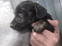 processed/535b4b97-c15e-4c31-a97c-311ce29ef2a9/listing/6a606306-6ada-4de3-be1c-65c7cf1624b4/8bca4876-bd60-4132-9f42-c3c3bb573bb4