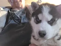 processed/535b4b97-c15e-4c31-a97c-311ce29ef2a9/listing/76cba24d-a3d9-46dc-9700-1bd74c3830f2/1d45debd-c57a-44bd-bdf1-2d16cc377c42