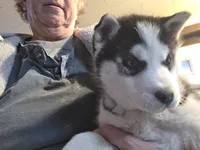 processed/535b4b97-c15e-4c31-a97c-311ce29ef2a9/listing/76cba24d-a3d9-46dc-9700-1bd74c3830f2/2db01717-6dea-46a4-8870-59ed1633371f