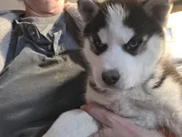 processed/535b4b97-c15e-4c31-a97c-311ce29ef2a9/listing/76cba24d-a3d9-46dc-9700-1bd74c3830f2/f97055db-25c7-4aa3-b6ad-424ee0b8e91e