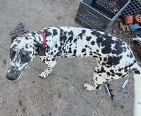 processed/535b4b97-c15e-4c31-a97c-311ce29ef2a9/listing/a137f1bd-d2d0-4f7f-b773-1934f231307d/5530a841-2915-4a77-9fd4-a4e19e8eeaad