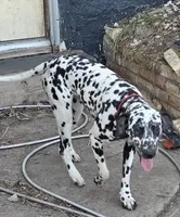 processed/535b4b97-c15e-4c31-a97c-311ce29ef2a9/listing/a137f1bd-d2d0-4f7f-b773-1934f231307d/e0e10284-da26-43b5-90a0-44fdbd31f645