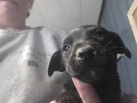 processed/535b4b97-c15e-4c31-a97c-311ce29ef2a9/listing/a827d30d-4dbb-4611-b9a4-1763d57f446f/15aed54e-d1a6-4fe8-8034-12591fe634d9