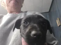 processed/535b4b97-c15e-4c31-a97c-311ce29ef2a9/listing/a827d30d-4dbb-4611-b9a4-1763d57f446f/8f3b9468-7c8e-41bd-bde1-66e8141f7180