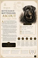 Bear, a male Rottweiler for sale in Saluda, NC – 7 of 9