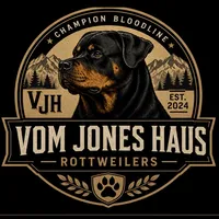 Ruby, a female Rottweiler for sale in Saluda, NC – 10 of 10