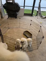 processed/5366c237-539f-4cf6-8f4e-f8bd482557a7/listing/8fa79a3c-af41-4d16-ac06-796b7465e70e/60054c89-ada2-46c5-bf91-5903a32b5e74