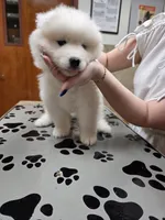 processed/5366c237-539f-4cf6-8f4e-f8bd482557a7/listing/8fa79a3c-af41-4d16-ac06-796b7465e70e/9d525724-8f50-4794-ba23-d1f6a91d479e