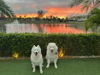 processed/5366c237-539f-4cf6-8f4e-f8bd482557a7/listing/8fa79a3c-af41-4d16-ac06-796b7465e70e/cbf0315a-9be7-4b64-bd74-8bed8e75d7be