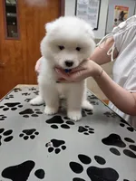 processed/5366c237-539f-4cf6-8f4e-f8bd482557a7/listing/8fa79a3c-af41-4d16-ac06-796b7465e70e/cce6c037-4ab8-482f-b3d6-90000583657e