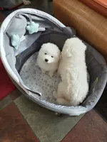 processed/5366c237-539f-4cf6-8f4e-f8bd482557a7/listing/f189d8d7-a7da-4c8d-ac2d-6104be73b177/1cc8f7b4-b4d7-45be-856a-3eead2d8f50a