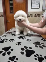 processed/5366c237-539f-4cf6-8f4e-f8bd482557a7/listing/f189d8d7-a7da-4c8d-ac2d-6104be73b177/d0bb4270-27cf-4648-afe6-4a76387bf9f5