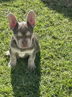 processed/536c6381-65b1-4b9f-9ce6-b525aa1ab2c6/listing/c065bb2e-d0b5-4d16-8529-1aef11fa8a91/b1e53381-6bfd-4ce0-81de-6bc5249a7559