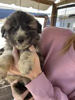 processed/5377d8bb-da8a-465c-9943-39601164e015/listing/044abf5d-4137-4677-8b67-6c6fc35944a4/011f4297-eb3c-4a09-abe1-c11df62f21f0