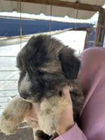 processed/5377d8bb-da8a-465c-9943-39601164e015/listing/044abf5d-4137-4677-8b67-6c6fc35944a4/c2e137ca-3cfc-4ae7-9f4b-5ab4074ed650