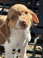 processed/5377d8bb-da8a-465c-9943-39601164e015/listing/759c3eaf-621a-4713-a565-70204df38a9c/8d2bfefe-02f9-4327-a246-f7548229ca8a