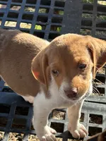 processed/5377d8bb-da8a-465c-9943-39601164e015/listing/759c3eaf-621a-4713-a565-70204df38a9c/9ef94c52-3002-495f-8f47-67d7fca5475e