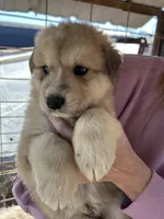 processed/5377d8bb-da8a-465c-9943-39601164e015/listing/e3715e83-ae32-4ece-a305-d0092a0f8802/a4a78fa4-87c0-4b51-bb00-a2d6f389a422