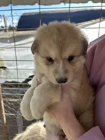 processed/5377d8bb-da8a-465c-9943-39601164e015/listing/e3715e83-ae32-4ece-a305-d0092a0f8802/c44c246b-d4c4-4272-8ad3-86c931d8ad9c