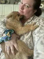 Pedigree/registered, a male Pomeranian for sale in Davenport, FL – Photo 9 of 9