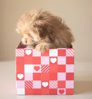 processed/537c498d-51fe-4d92-9c0a-9e969bc5d3f4/listing/427e1690-fa84-421e-99c1-98c0ef9e9062/13deca7d-e2ef-4c81-96df-a92cd458d1f1