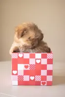 processed/537c498d-51fe-4d92-9c0a-9e969bc5d3f4/listing/427e1690-fa84-421e-99c1-98c0ef9e9062/19614a27-d05f-44a2-805a-3c35221707fa