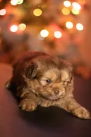 processed/537c498d-51fe-4d92-9c0a-9e969bc5d3f4/listing/427e1690-fa84-421e-99c1-98c0ef9e9062/80036ffe-41fa-49e9-82cf-5e44b18b0be4