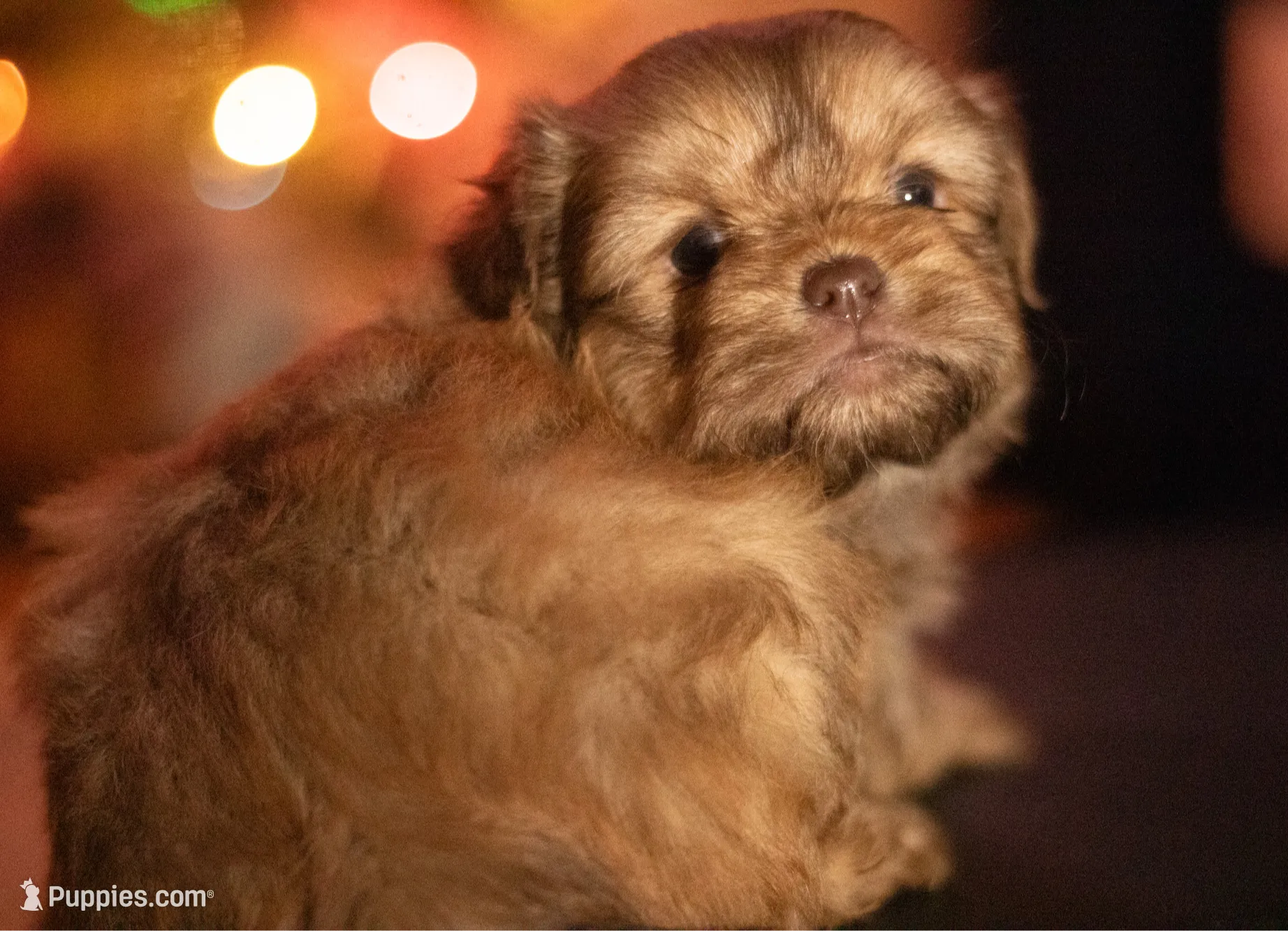 processed/537c498d-51fe-4d92-9c0a-9e969bc5d3f4/listing/427e1690-fa84-421e-99c1-98c0ef9e9062/8fb20874-e52d-4c1a-976f-aa3c073ac854