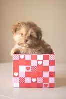 processed/537c498d-51fe-4d92-9c0a-9e969bc5d3f4/listing/427e1690-fa84-421e-99c1-98c0ef9e9062/d743f2c7-33a4-4f80-8c02-9d388b8a7922