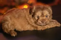 processed/537c498d-51fe-4d92-9c0a-9e969bc5d3f4/listing/427e1690-fa84-421e-99c1-98c0ef9e9062/edfaba0a-e1ff-4851-a27c-f381af4bcf3c