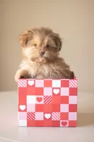 processed/537c498d-51fe-4d92-9c0a-9e969bc5d3f4/listing/427e1690-fa84-421e-99c1-98c0ef9e9062/f3e23354-11c7-4bf8-936f-8ac2dce39f3e