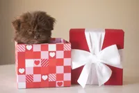 processed/537c498d-51fe-4d92-9c0a-9e969bc5d3f4/listing/56bb66e6-e224-48d5-b169-6f63d6bdb034/35408e7f-7f93-4c63-a841-20774fb0b4b8