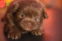 processed/537c498d-51fe-4d92-9c0a-9e969bc5d3f4/listing/56bb66e6-e224-48d5-b169-6f63d6bdb034/3763987a-421f-4ebc-9065-3a55e91de749