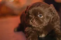 processed/537c498d-51fe-4d92-9c0a-9e969bc5d3f4/listing/56bb66e6-e224-48d5-b169-6f63d6bdb034/41976571-e764-45f6-972c-ca6e3262efdd