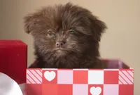 processed/537c498d-51fe-4d92-9c0a-9e969bc5d3f4/listing/56bb66e6-e224-48d5-b169-6f63d6bdb034/83f5760e-5b2c-46ec-b71f-da95c3680ed4