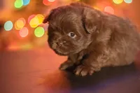 processed/537c498d-51fe-4d92-9c0a-9e969bc5d3f4/listing/56bb66e6-e224-48d5-b169-6f63d6bdb034/8ac232be-498f-466e-a762-1309152110ce