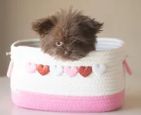 processed/537c498d-51fe-4d92-9c0a-9e969bc5d3f4/listing/5838d77c-f819-43ec-bfd3-7fdbbf72ce41/0cdd7377-d360-4282-9c31-9c92cf9a075a