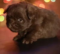 processed/537c498d-51fe-4d92-9c0a-9e969bc5d3f4/listing/5838d77c-f819-43ec-bfd3-7fdbbf72ce41/16781903-9e98-43e5-a89b-a99ef69a39d2