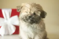 processed/537c498d-51fe-4d92-9c0a-9e969bc5d3f4/listing/b3c64f9b-df76-48ad-852a-0462bf351278/100a9f88-fcb2-4cbe-be9e-3663d4209a2f