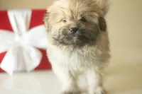 processed/537c498d-51fe-4d92-9c0a-9e969bc5d3f4/listing/b3c64f9b-df76-48ad-852a-0462bf351278/15f401e8-a3f3-4c63-9f50-5040d49dffdb