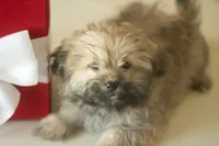 processed/537c498d-51fe-4d92-9c0a-9e969bc5d3f4/listing/b3c64f9b-df76-48ad-852a-0462bf351278/29978291-218c-4365-8ce1-7cca21a5b67a