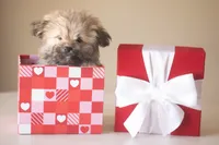 processed/537c498d-51fe-4d92-9c0a-9e969bc5d3f4/listing/b3c64f9b-df76-48ad-852a-0462bf351278/36a724af-17db-4bbf-bd1d-4d5b82232dcc