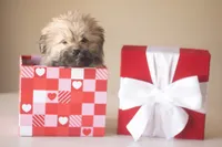 processed/537c498d-51fe-4d92-9c0a-9e969bc5d3f4/listing/b3c64f9b-df76-48ad-852a-0462bf351278/7dd75a6b-aaa2-442e-a70d-aad0743c5d2c