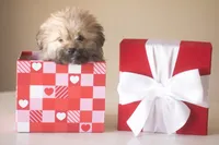 processed/537c498d-51fe-4d92-9c0a-9e969bc5d3f4/listing/b3c64f9b-df76-48ad-852a-0462bf351278/85d6e6bb-0074-47a1-9154-5fc07877d624