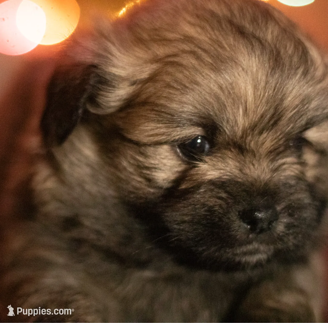 processed/537c498d-51fe-4d92-9c0a-9e969bc5d3f4/listing/b3c64f9b-df76-48ad-852a-0462bf351278/d0678fcf-2c23-4bae-95cc-9695d389af14