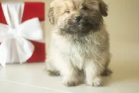 processed/537c498d-51fe-4d92-9c0a-9e969bc5d3f4/listing/b3c64f9b-df76-48ad-852a-0462bf351278/e353a71d-20b3-48c3-a9fa-4036cac710c4